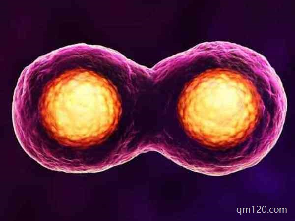 想試管嬰兒生個(gè)混血兒可以嗎