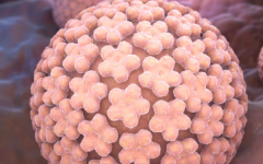 沈陽(yáng)市婦女小兒醫(yī)院試管嬰兒多少錢(qián)