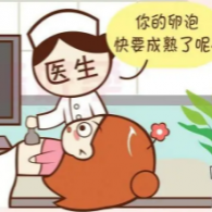 卵泡監(jiān)測(cè)