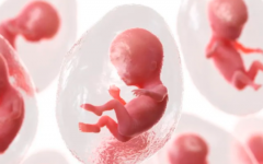 國內(nèi)做試管價格