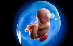 試管嬰兒要做多少次才能成功