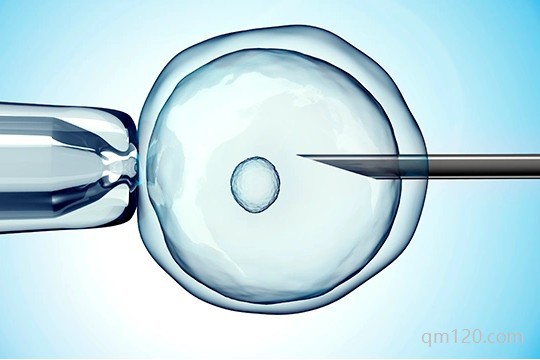 養(yǎng)囊第8天沒有結(jié)果