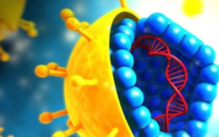 甘美國際醫(yī)院試管嬰兒要準備多少錢