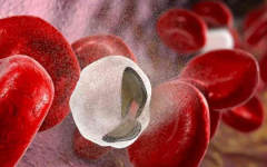 女方地貧可以做試管嗎