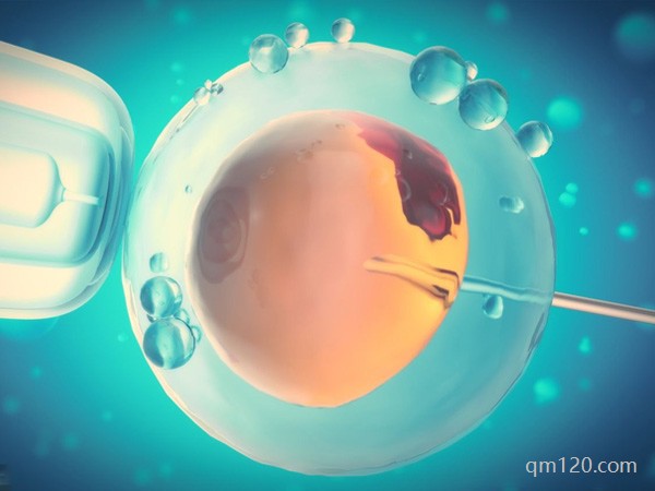 真后悔做試管嬰兒