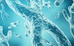 三代試管篩查遺傳病列表