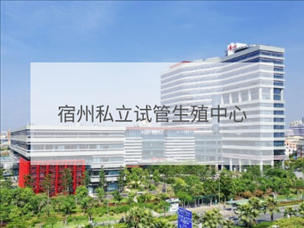 宿州私立試管機構