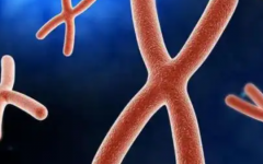 郴州第一試管助孕中心試管嬰兒費(fèi)用清單表