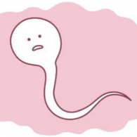 精子分離術(shù)