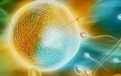 43歲還能做試管嗎