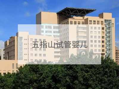 五指山試管嬰兒