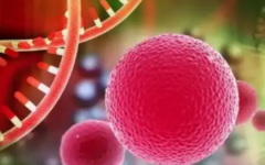 福州900醫(yī)院做試管費用是多少