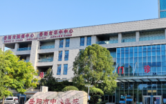 岳陽(yáng)市中心醫(yī)院試管嬰兒成功率