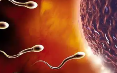 中山市試管機(jī)構(gòu)醫(yī)院試管嬰兒費(fèi)用