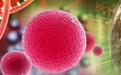 泰國三代試管嬰兒技術(shù)