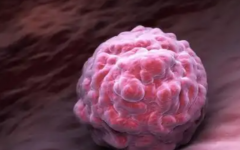 空軍助孕生殖中心做試管費(fèi)用一般多少