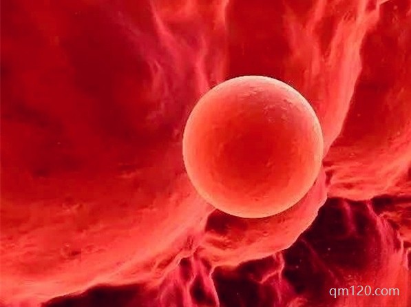 什么樣的人著床晚