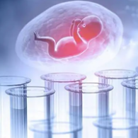 試管嬰兒費(fèi)用