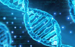 帕雅泰3醫(yī)院試管費(fèi)用