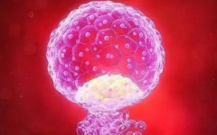 做試管免疫有問(wèn)題怎么辦