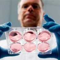 柬埔寨試管嬰兒