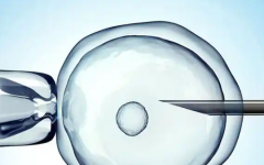 重慶市南川區(qū)試管助孕中心試管多少錢