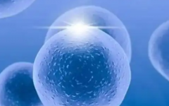 梧州工人醫(yī)院試管嬰兒多少錢