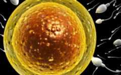 甘肅省助孕機(jī)構(gòu)保健院試管嬰兒花費(fèi)明細(xì)表