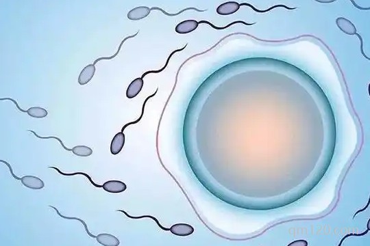 沒結(jié)婚哪個國家可以做試管嬰兒