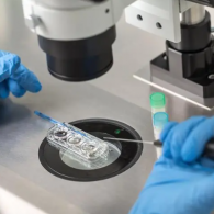 三代試管一次能成功率