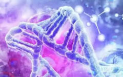 中山二院做試管嬰兒費用大概多少