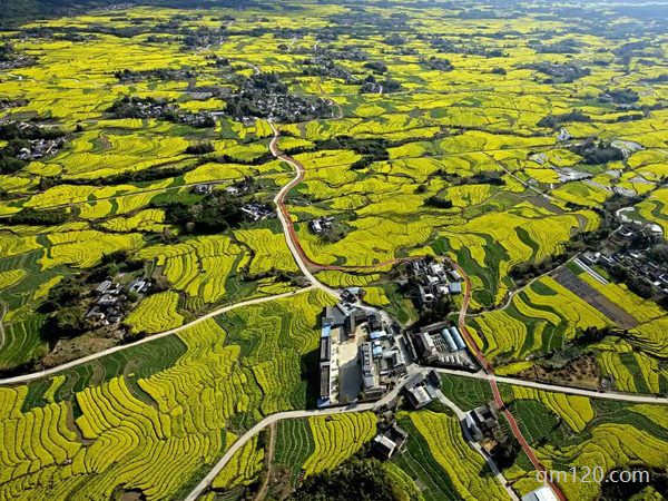 保山不孕不育醫(yī)院排名