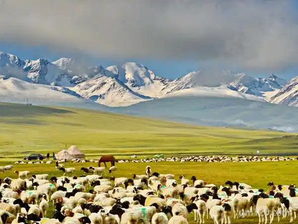 新疆不孕不育醫(yī)院哪個(gè)好