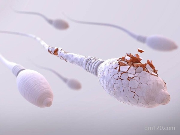 三代試管解決精子碎片率高
