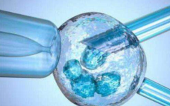 泰國樂櫻醫(yī)院試管多少錢