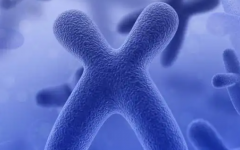 染色體異常能做試管嬰兒嗎