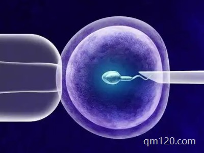 咸寧三代試管嬰兒