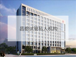 昌都私立試管機構