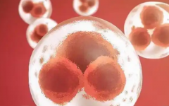 ?？谑袐D幼保健院試管收費(fèi)標(biāo)準(zhǔn)