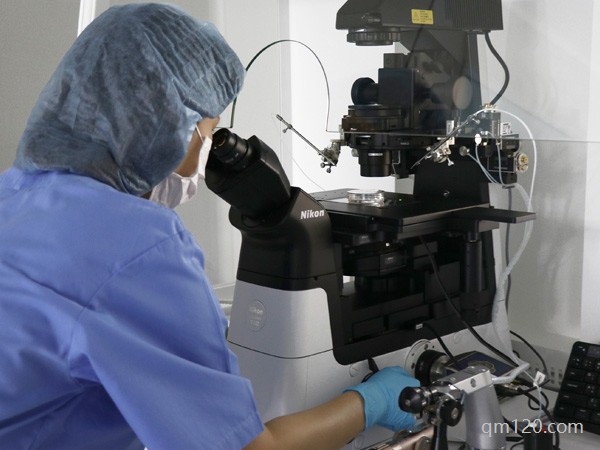 高齡試管如何提高卵子質(zhì)量