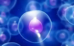 上饒市婦幼保健院一般多少錢(qián)