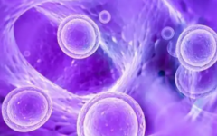 云南省中醫(yī)醫(yī)院試管嬰兒需要花費(fèi)多少錢