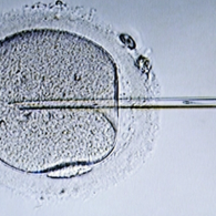 三代試管醫(yī)院