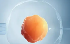 做試管可以用醫(yī)保報銷多少