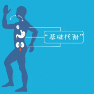 基礎代謝