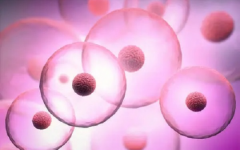 河南省試管助孕中心試管嬰兒花費(fèi)明細(xì)表