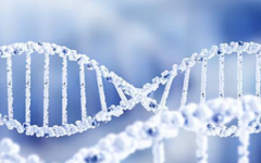 九江市婦幼保健院做試管嬰兒一共多少