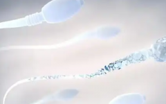 華科大生殖醫(yī)院做試管費用明細(xì)表出爐