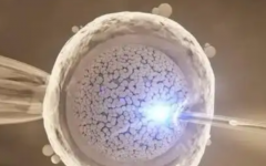 恩施中心醫(yī)院試管嬰兒費(fèi)用