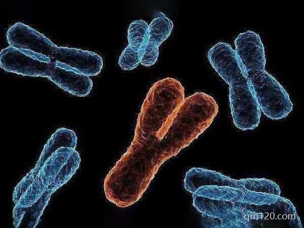 身體正常想要孩子能做試管嗎